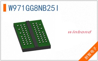 W971GG8NB25I