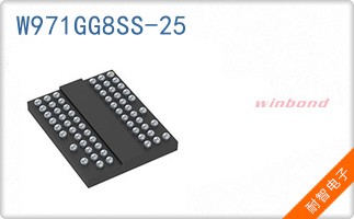 W971GG8SS-25