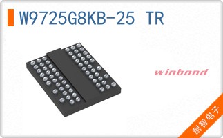 W9725G8KB-25 TR