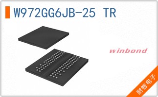 W972GG6JB-25 TR