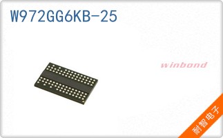 W972GG6KB-25