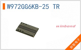W972GG6KB-25 TR