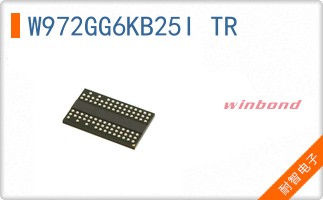 W972GG6KB25I TR