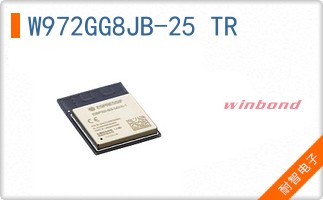 W972GG8JB-25 TR