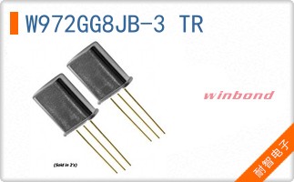 W972GG8JB-3 TR