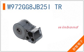 W972GG8JB25I TR