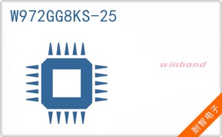 W972GG8KS-25