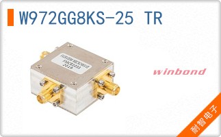 W972GG8KS-25 TR