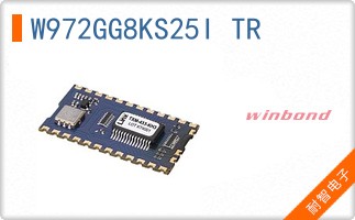 W972GG8KS25I TR