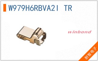 W979H6RBVA2I TR